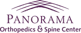 panorama logo panorama logo
